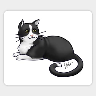 Cat - American Shorthair - Tuxedo Magnet